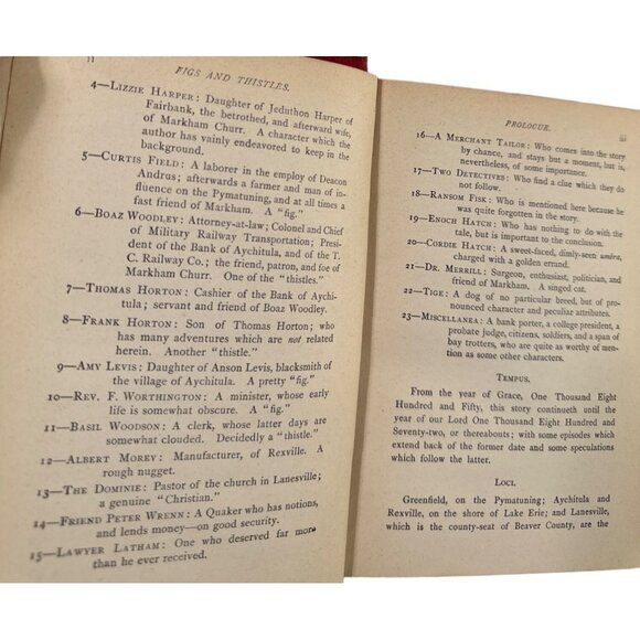 Antique 1879 Book Figs and Thistles Western Reserve Romance Albion Tourgee - Picture 7 of 13